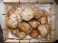 cookies coco miel
